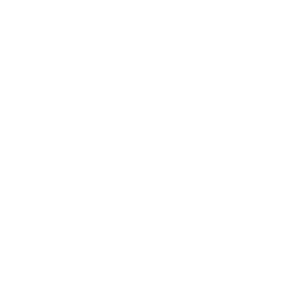 Rectangle 1381 Programas