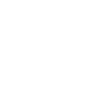 Rectangle 1382 Programas